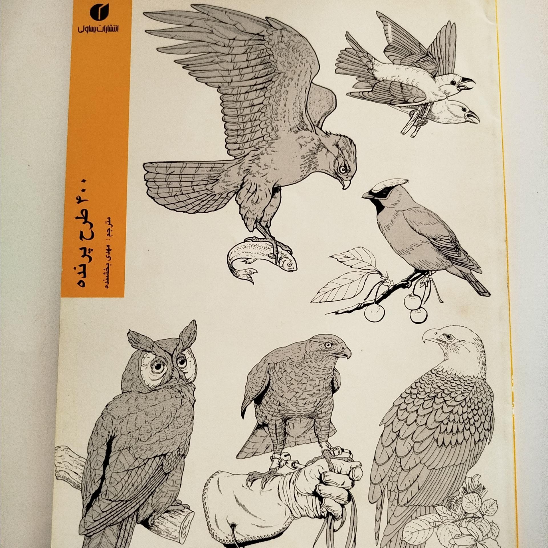 400 طرح پرنده