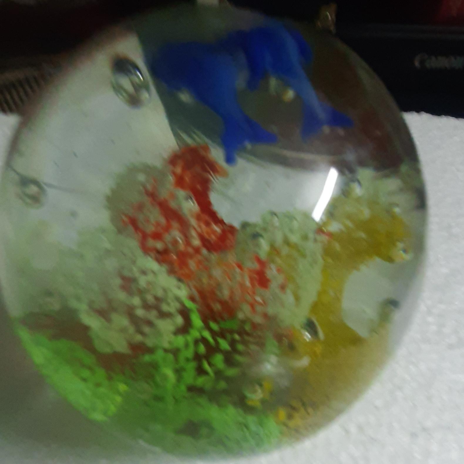 گوی شیشع ای شب نما