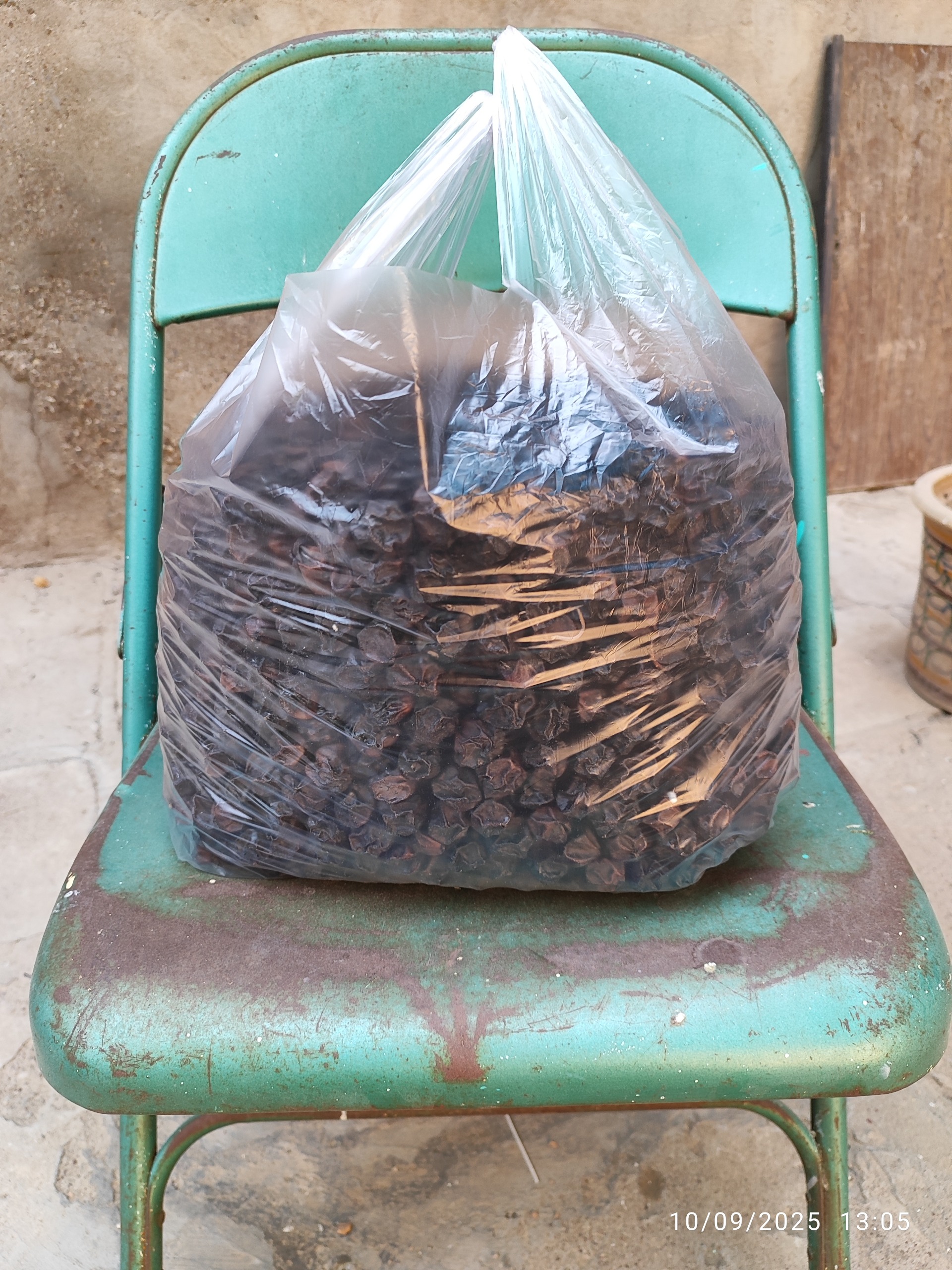 سه پستان کاملا خشک درجه یک