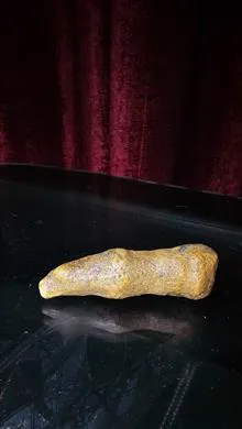 فسیل