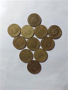 سکه