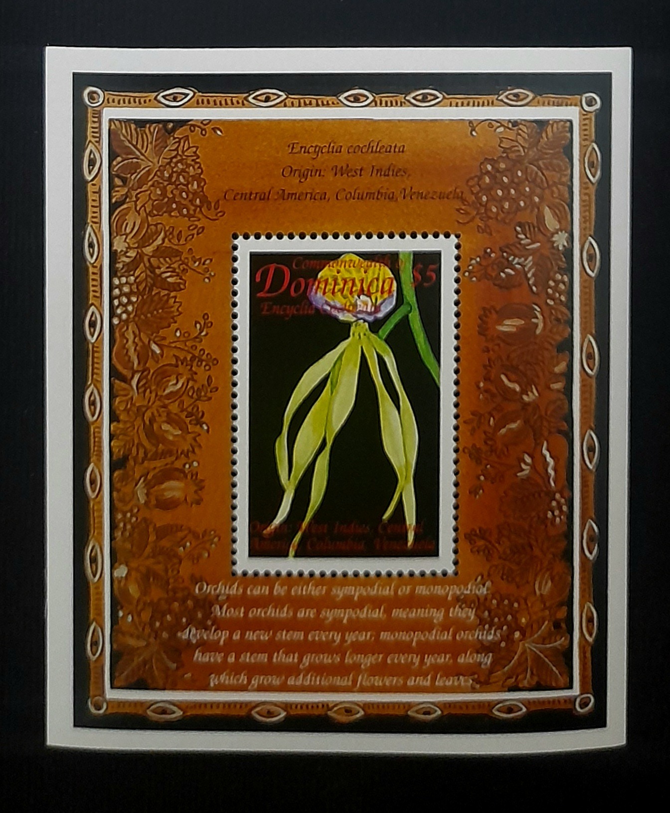 مینی شیت خارجی زیبا