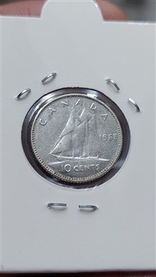 سکه