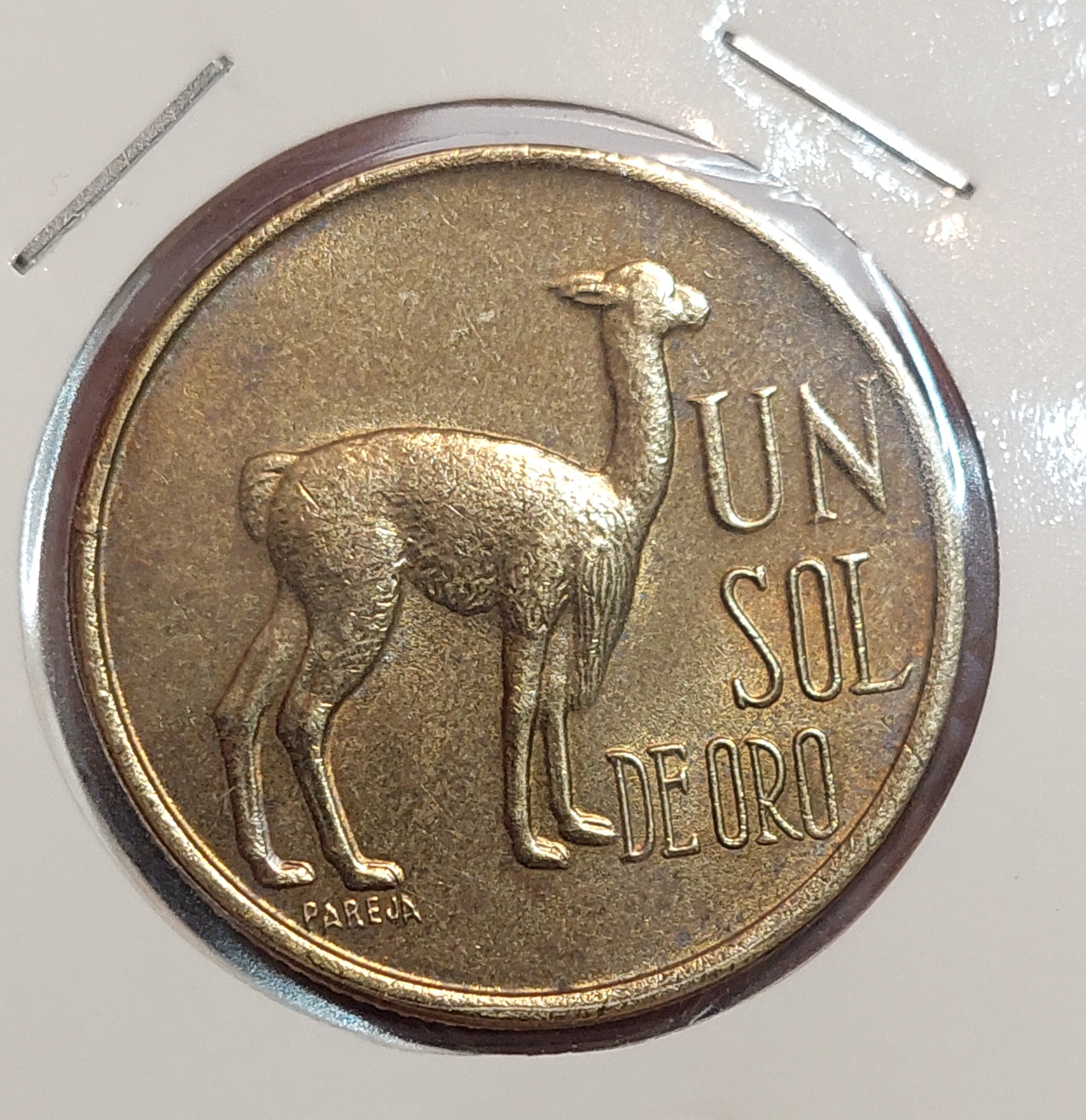 سکه پرو. طرح شتر بسیار کمیاب و گران