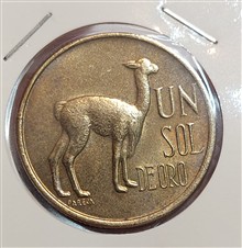 سکه