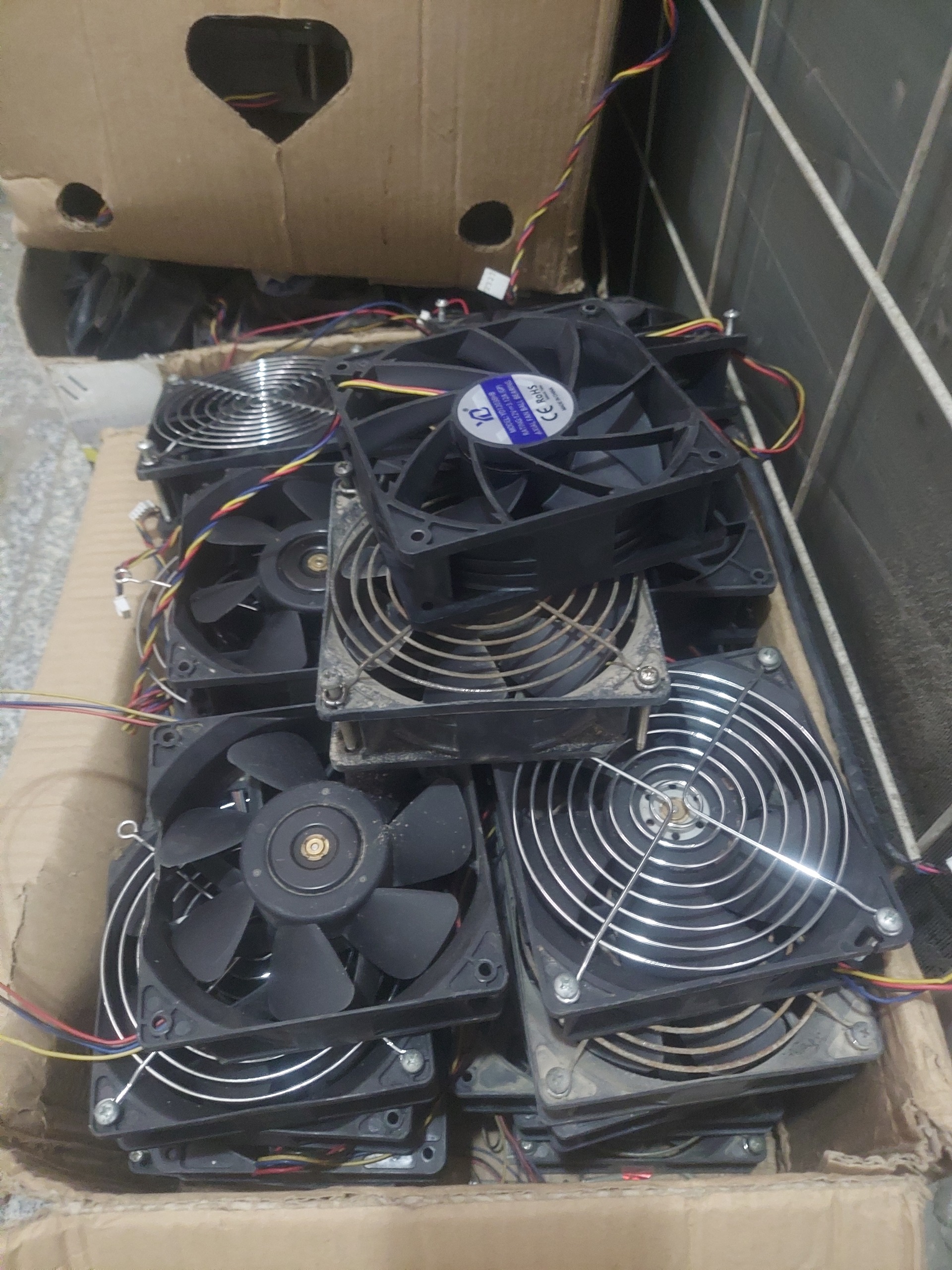 فن ماینر 12×12