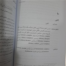 گیاهان