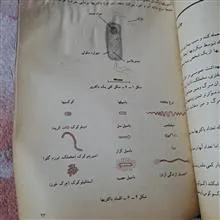 زیست