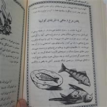 سرگرمیهای