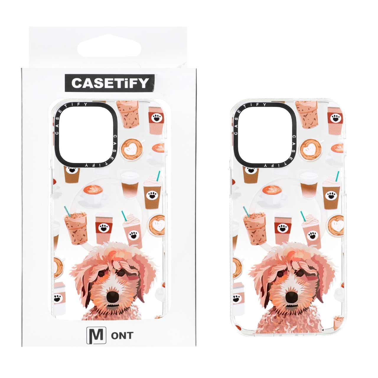 قابCasetify شفافMagsafe طرح دار آیفون14ProMax کد1