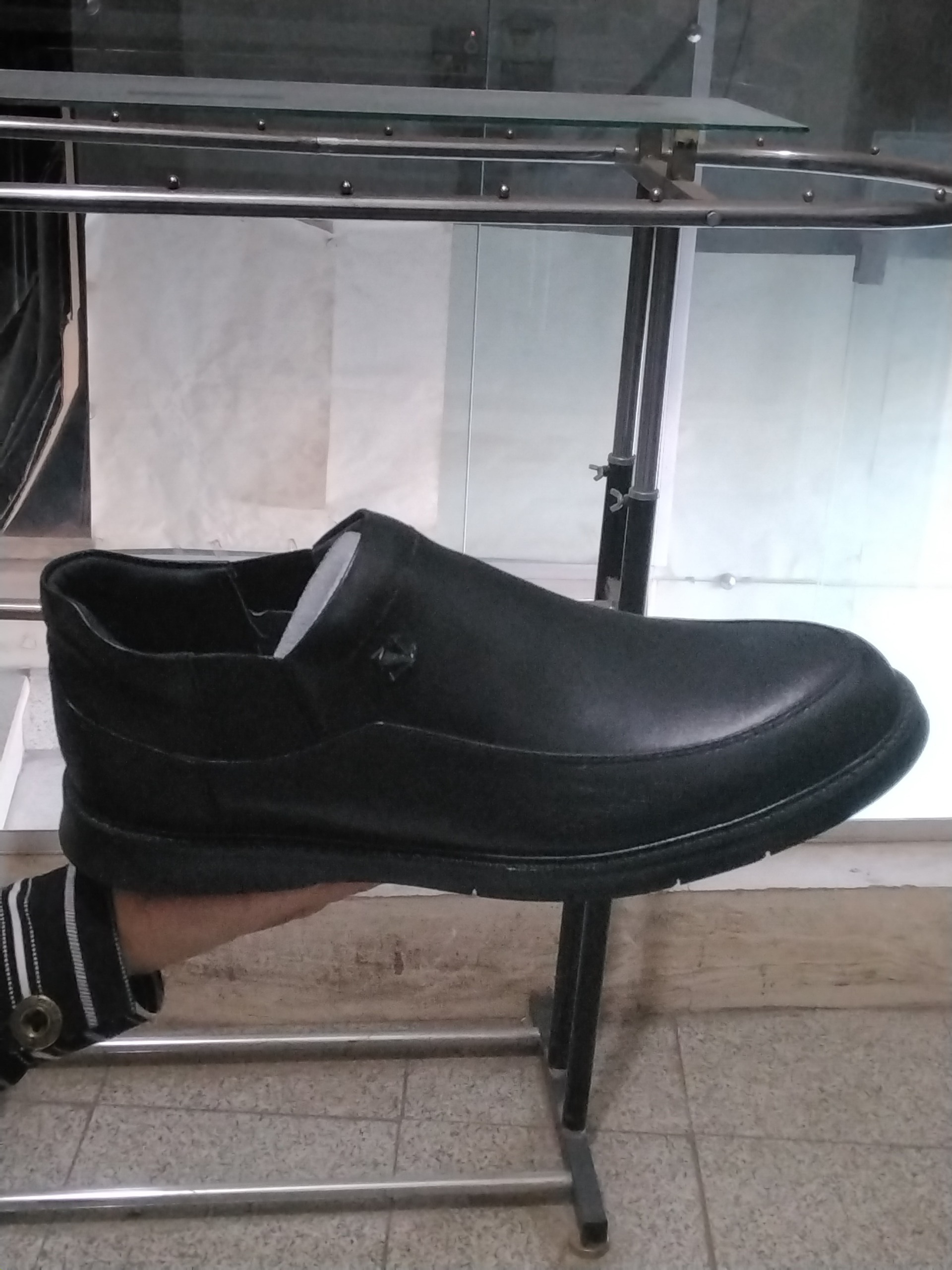 مجلسی رخش تبریز
