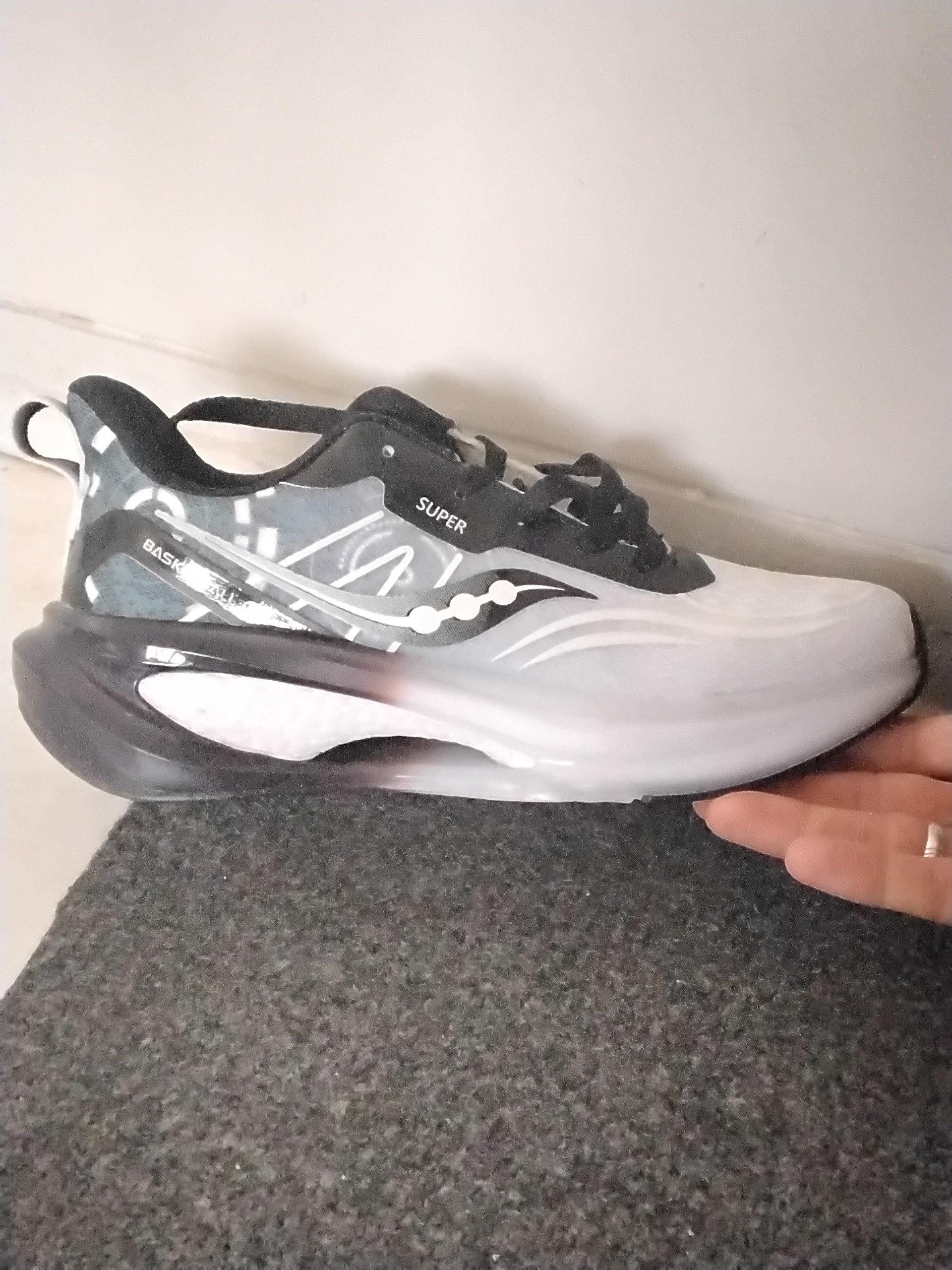 اسپرت  ساکونی بستگبال