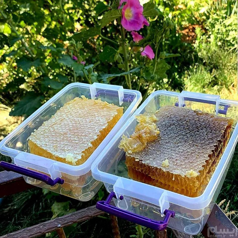 عسل طبیعی نمدارباموم(1کیلو)