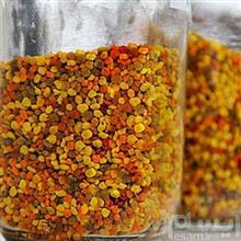 گرده