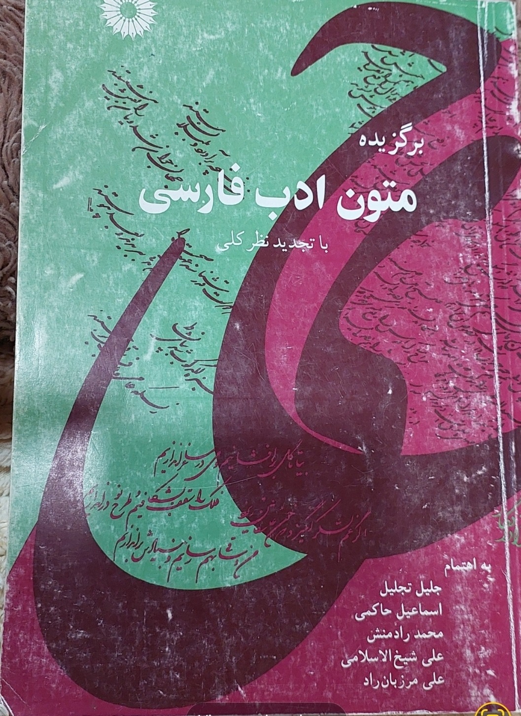 برگزیده متون ادب فارسی