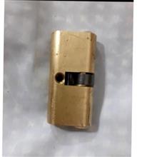 مغز