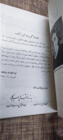 گلبرگ