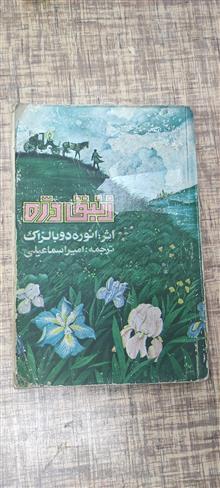 زنبق