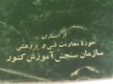 تست