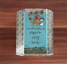 قوطی