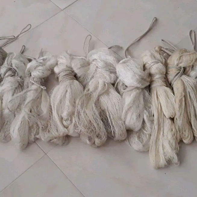 تور سهره 8 متری