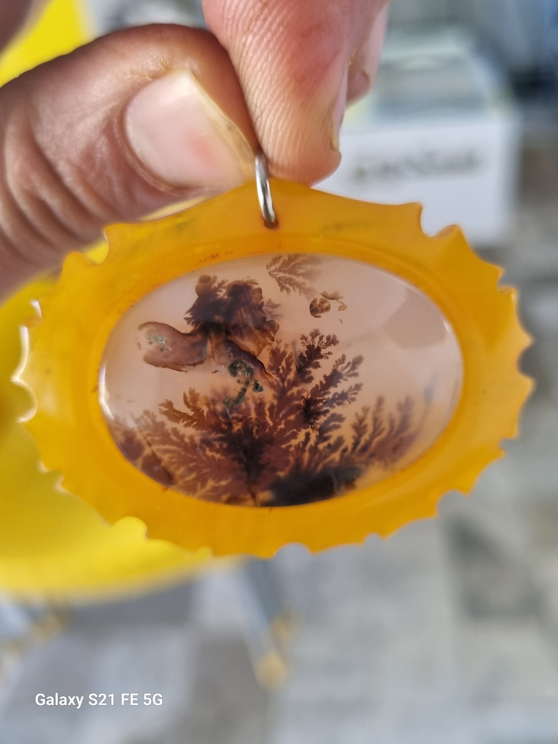 گردنی شجر قائن