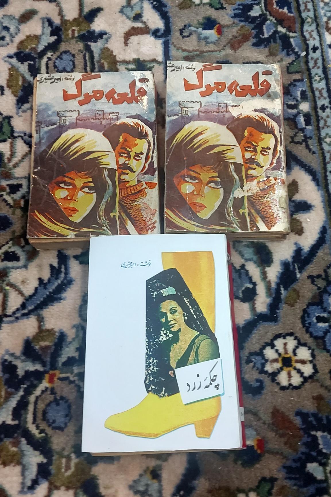 قلعه مرگ و چکمه زرد _ امیر عشیری