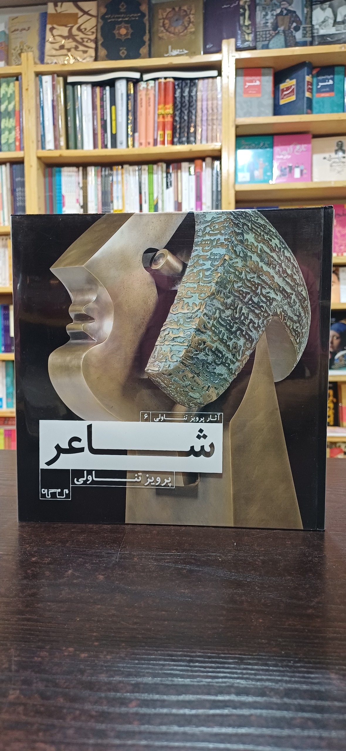 شاعر (پرویز تناولی)