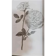 با