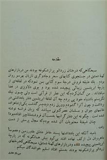 امینه
