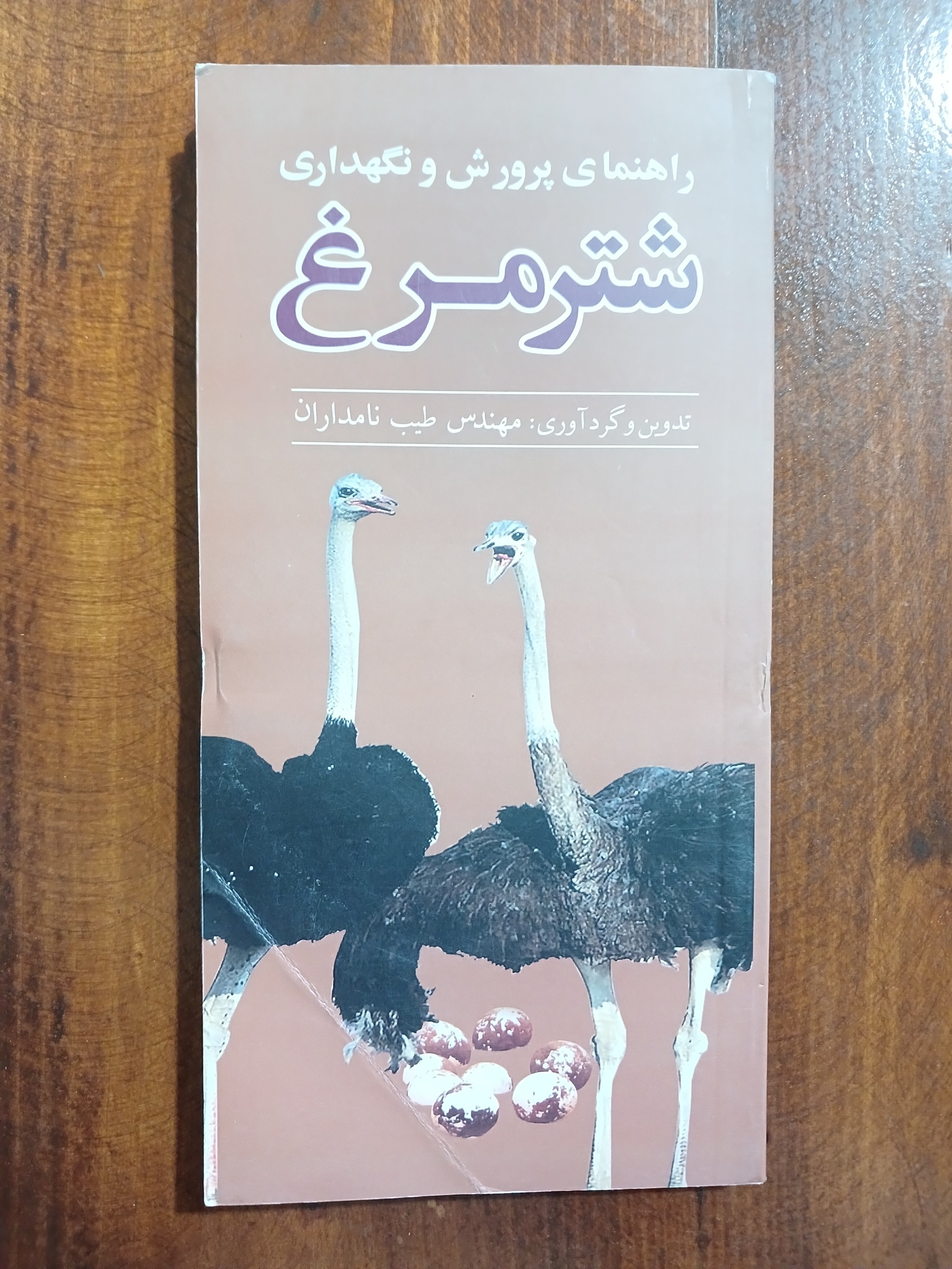 راهنمای پرورش و نگهداری شتر مرغ