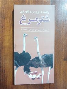 راهنمای