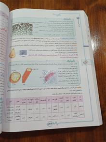 زیست