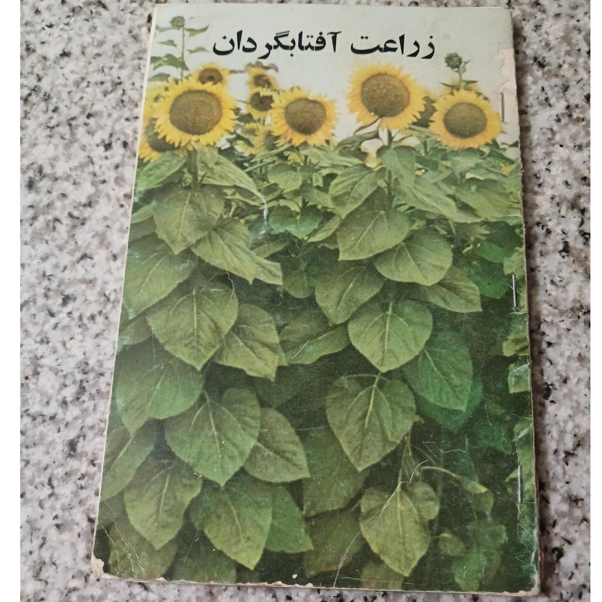 زراعت آفتابگردان. چاپ 1355