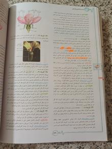 زیست