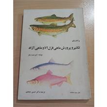 راهنمای