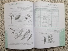 المپیاد