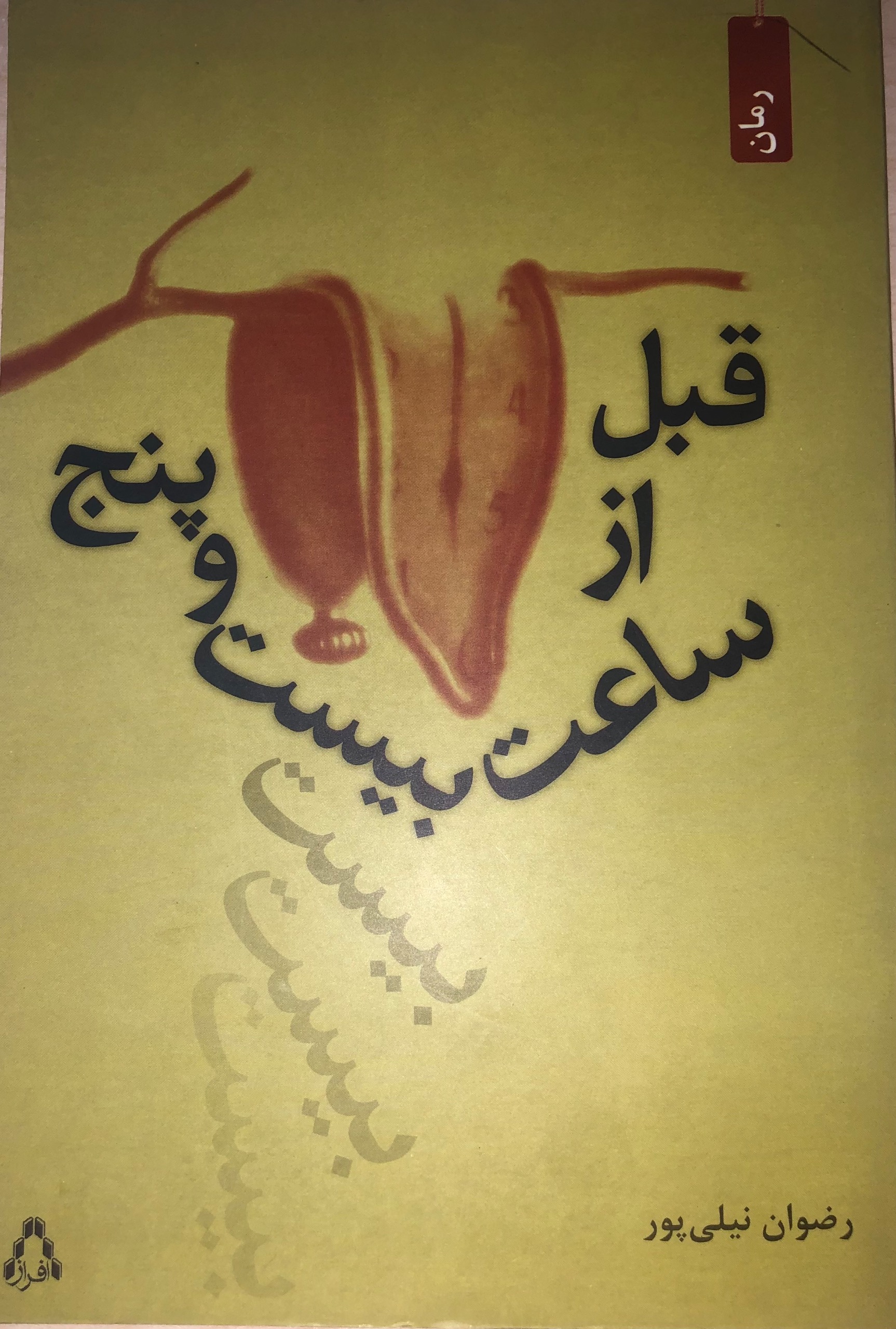 کتاب قبل از ساعت بیست و پنج _ رضوان نیای پور