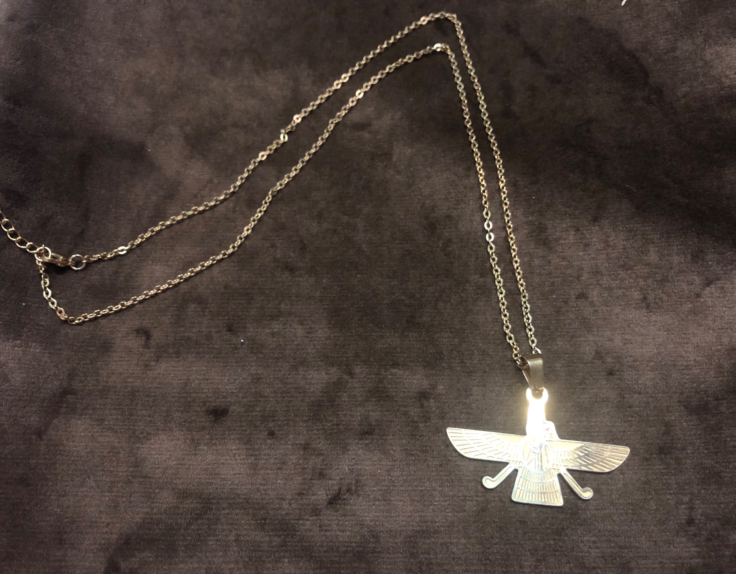 گردنبند استیل طلایی _ پلاک فروهر استیل