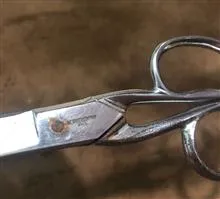 قیچی