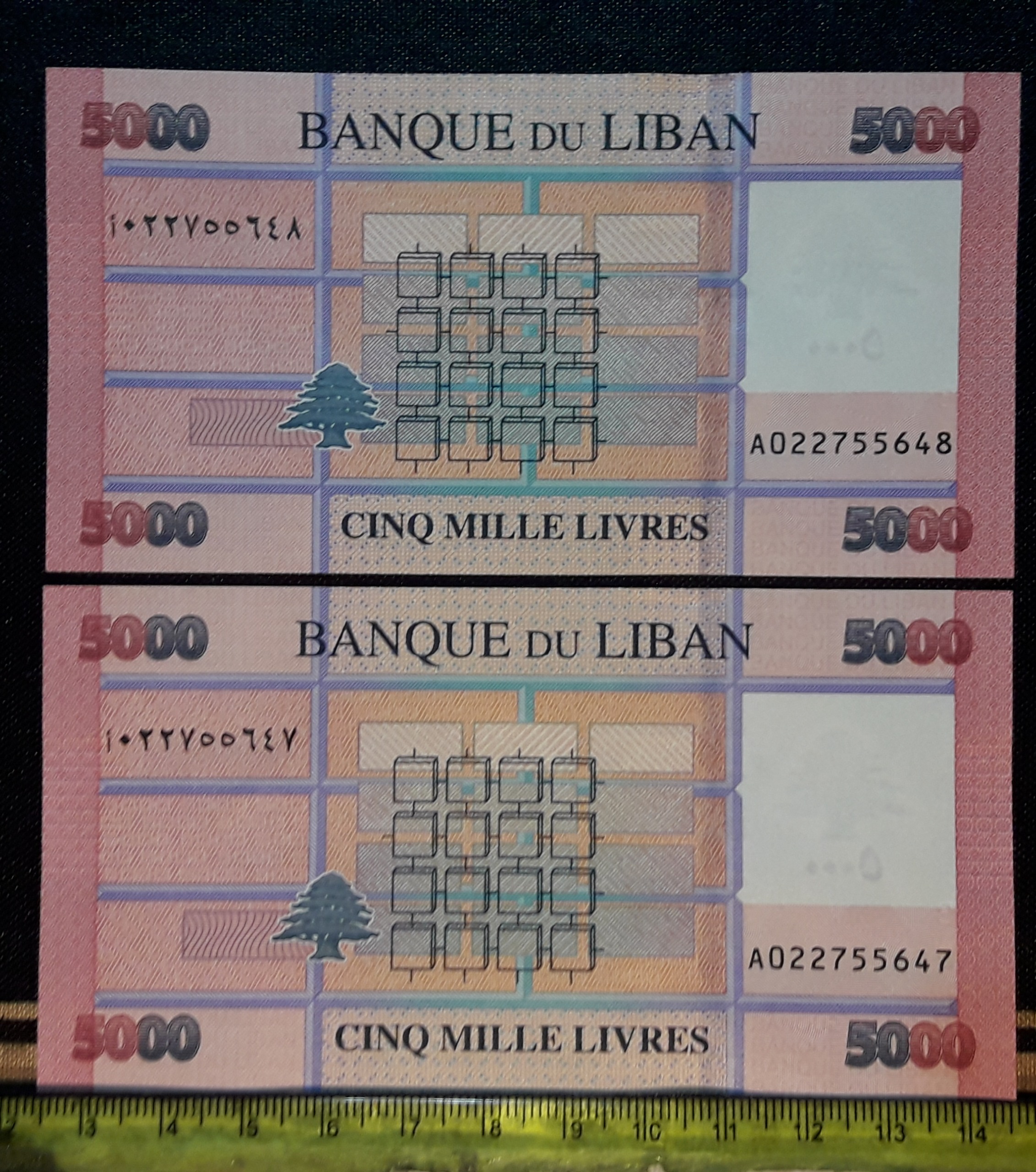 اسکناس کلکسیونی 5000 لیر لبنان 2021 جفت