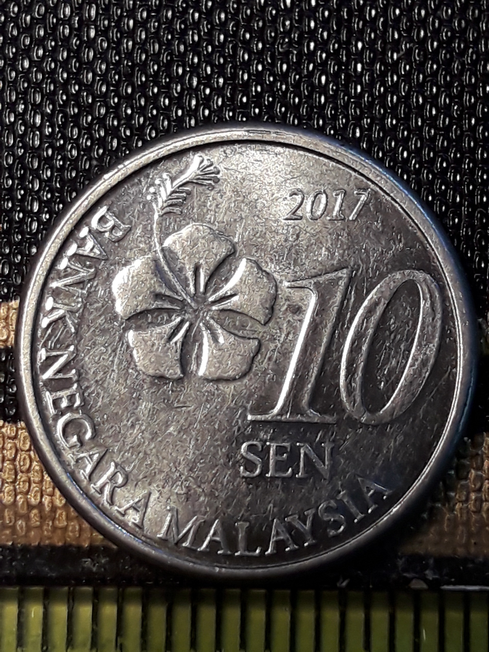 سکه کلکسیونی 10 سن مالزی 2017 کد 270