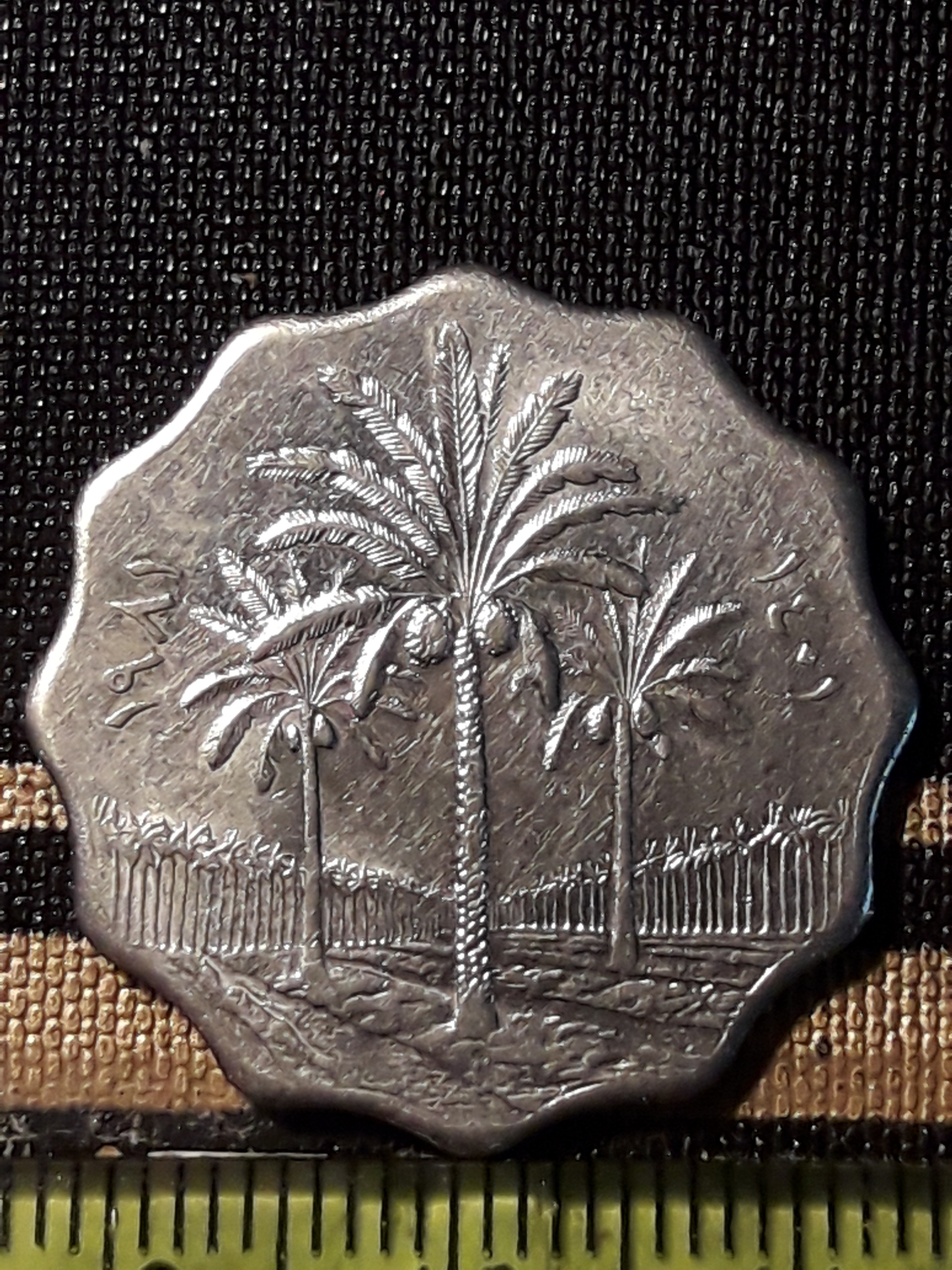 سکه کلکسیونی قدیمی عراق 10فلوس 1981 کد 333