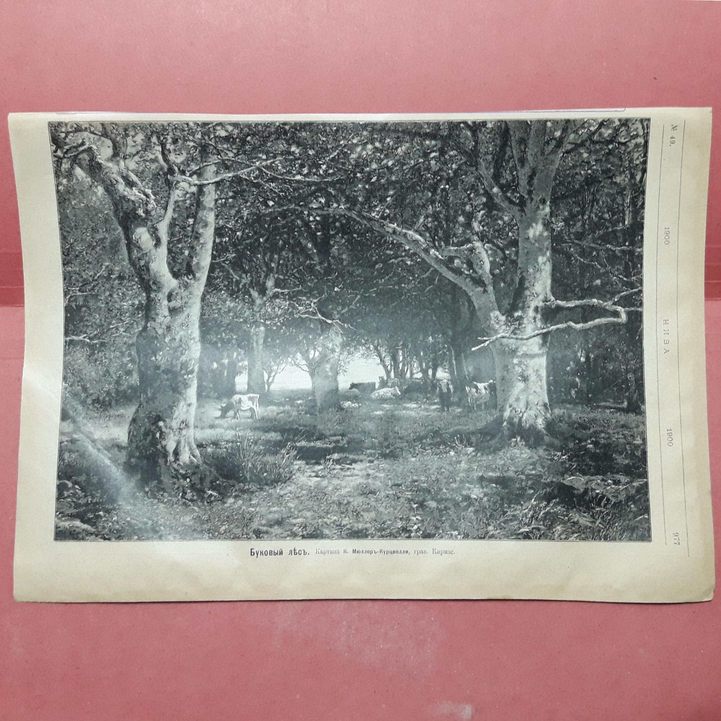 تصویر تاریخی قدمت 150 سال (توضیحات)