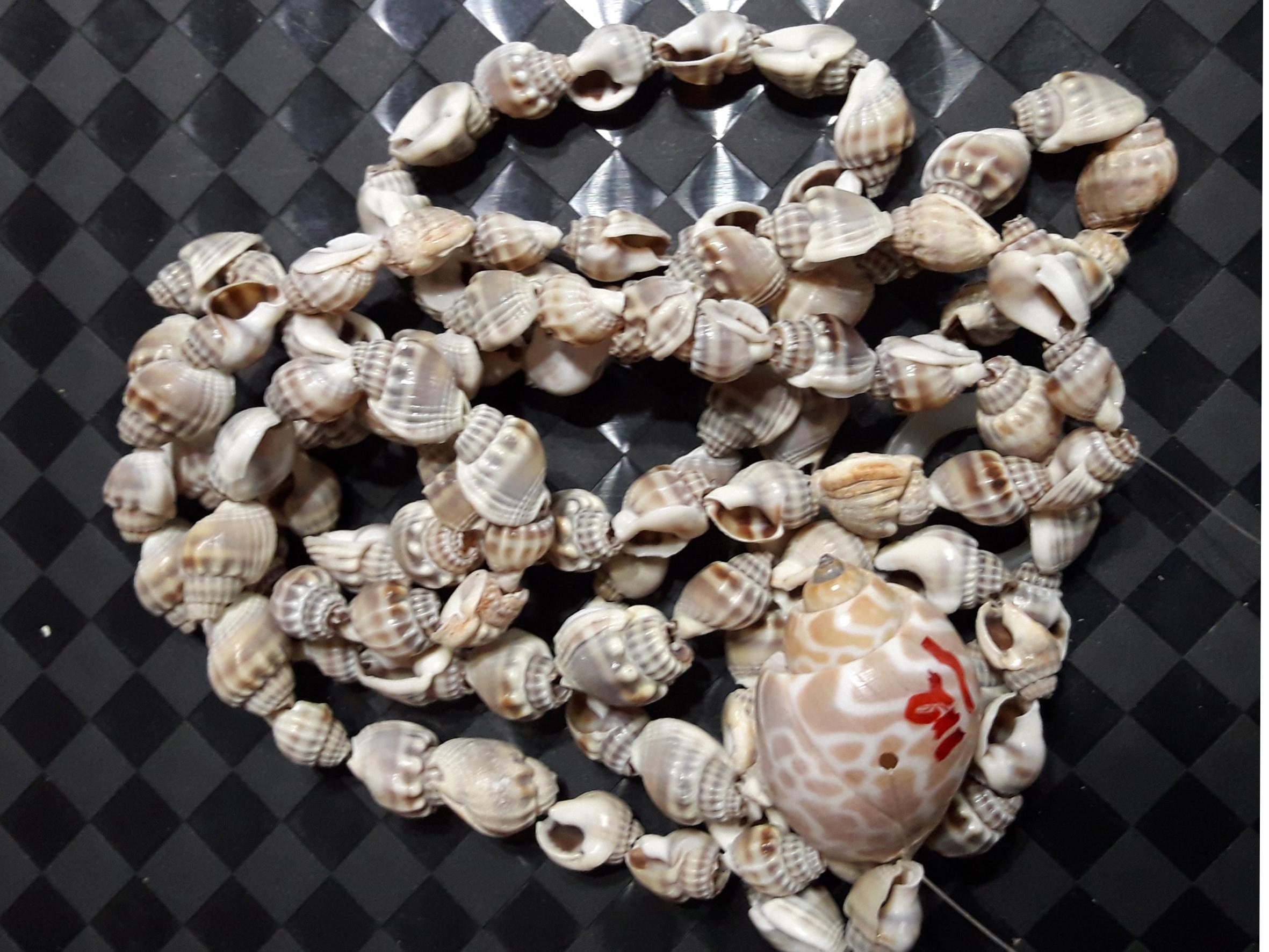 ریسه 112 عددی صدف های کلکسیونی صادراتی