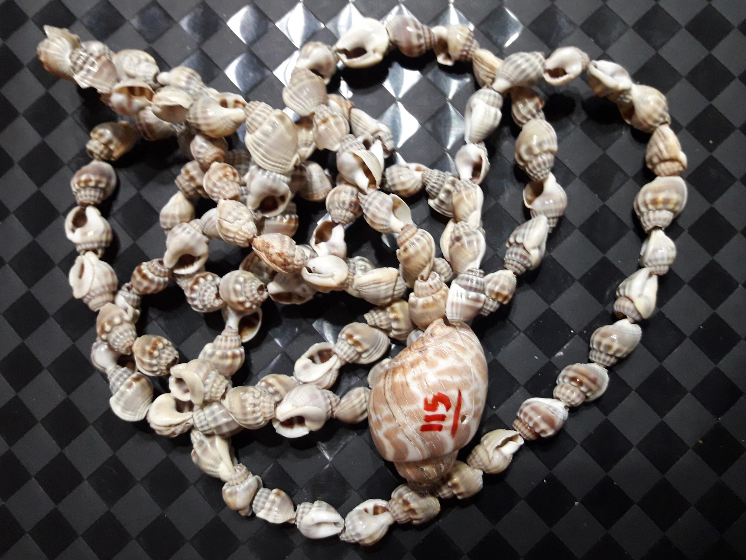 ریسه 115 عددی صدف های حلزونی کلکسیونی صادراتی