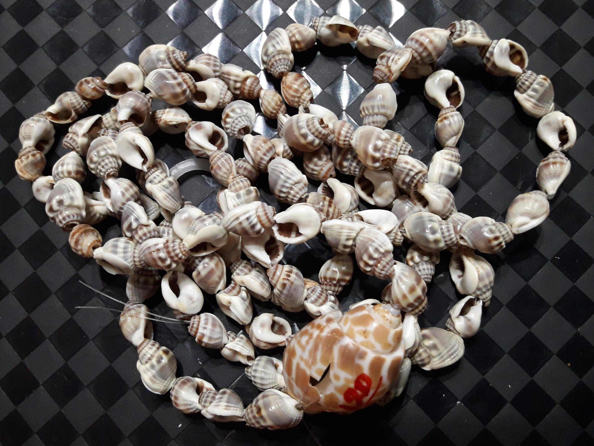 ریسه 120 عددی صدف های کلکسیونی صادراتی