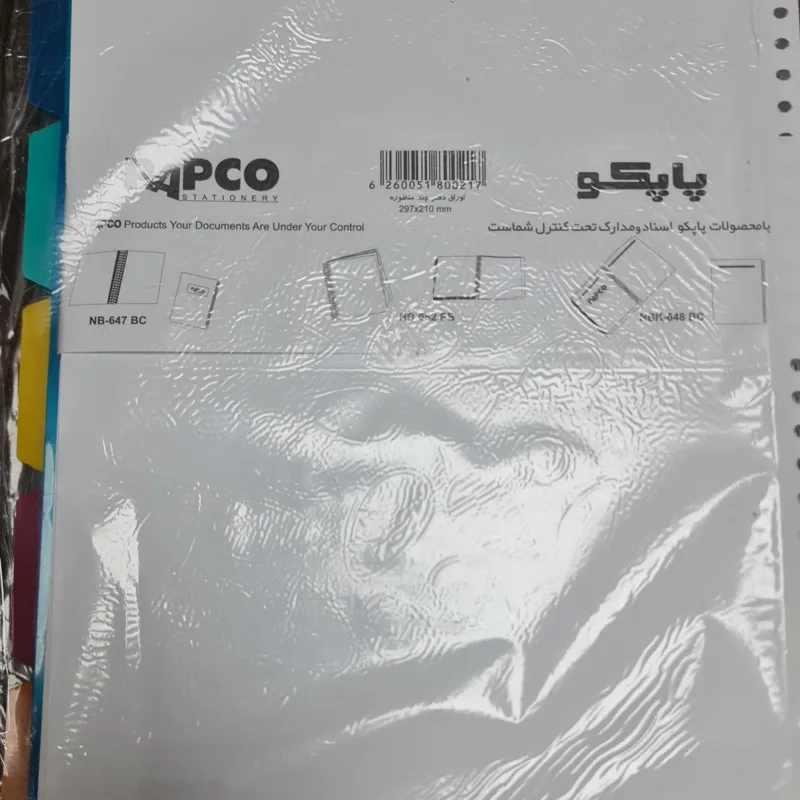 کاغذ کلاسور پاپکو سایز A4 بسته 100 عددی