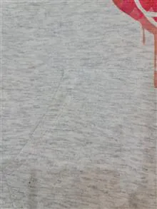 هودی