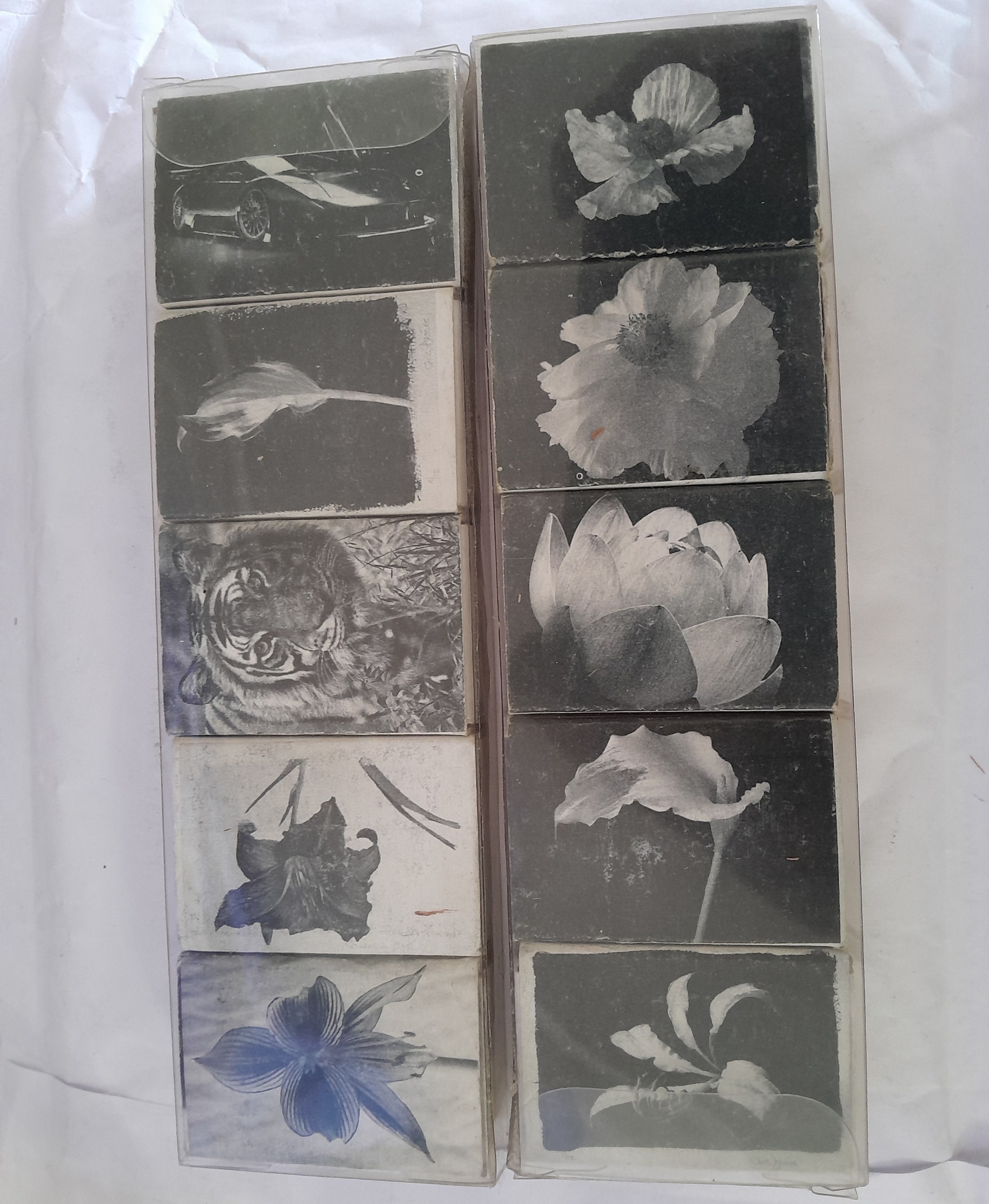 10 کبریت سپیدان سیاه و سفید